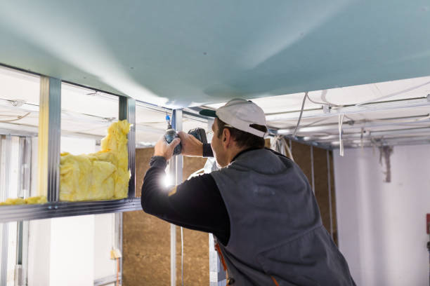 Best Commercial Insulation Contractor  in South Amherst, OH